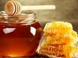 افزایش تولید عسل در استان گیلان