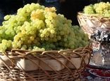 تولید ثروت از انگور  با همکاری باغداران 