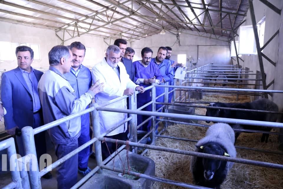 افتتاح مرکز تولید مواد ژنی دام سبک توسط دکتر جهانگیری در فیروزکوه