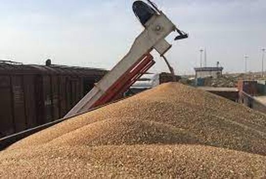 ضدعفونی و بوجاری بیش از 10 هزارتن گندم و جو در اهواز