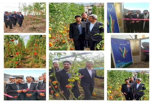 طرح احداث شهرک گلخانه ای 1000 هکتاری در شهرستان ورزقان