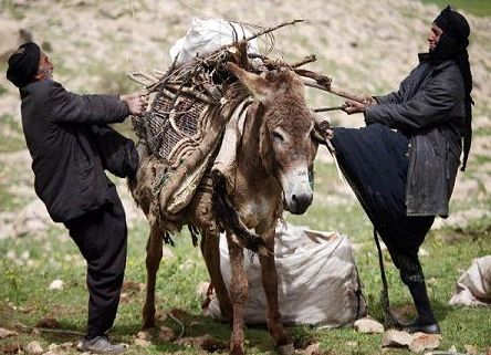 شرایط بازنشستگی روستاییان و عشایر بالای 65 سال تعیین شد