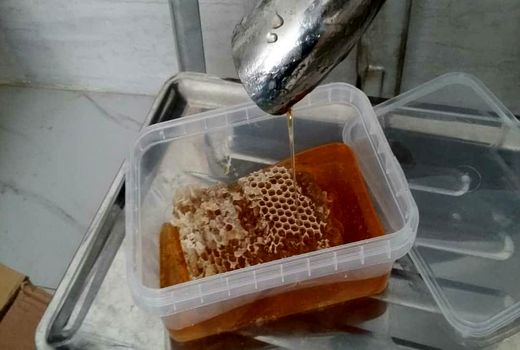 آغاز فعالیت کارگاه بسته بندی عسل در فارسان