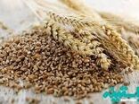 جایگزینی محصولات زراعی در الگوی کشت اراضی کشاورزی استان کرمان