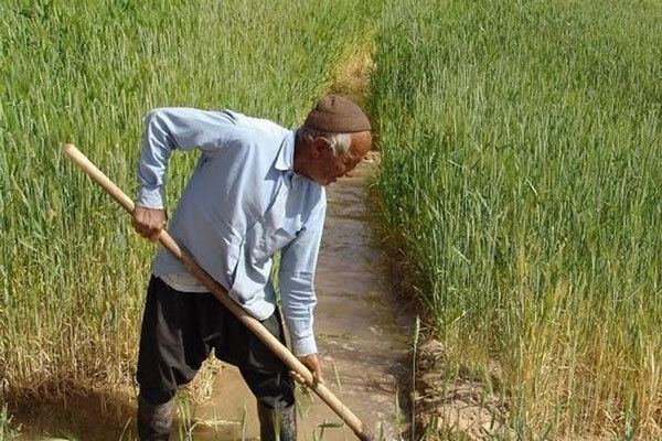 رتبه برتر کشوری در افزایش تولید و ضریب خوداتکایی محصولات کشاورزی به اصفهان رسید