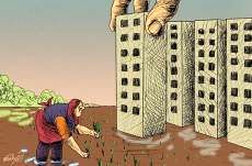 کشف زمین خواری ۱۵۰ میلیاردی در میامی