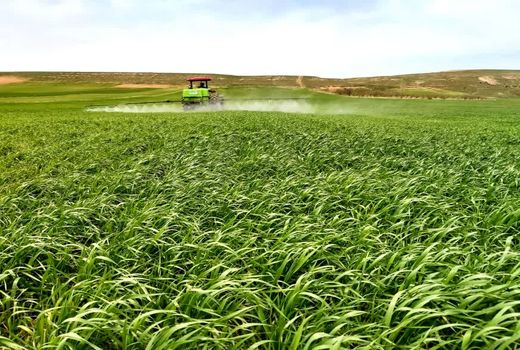 انجام عملیات سمپاشی و مبارزه با علف‌های هرز در ۳۰ هکتار از مزارع مراغه