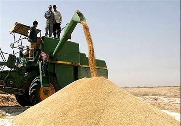 افزایش قاچاق با قیمت‌گذاری نامناسب