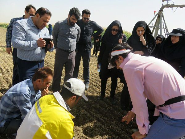 بازدید کارشناسان جدید الاستخدام از مزارع آموزشی و پژوهشی استان البرز