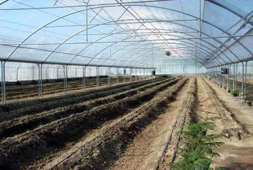 شهرک گلخانه‌ای شهرستان اهر به مساحت 24 هکتار آماده واگذاری است