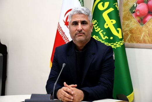 برداشت 7 هزار تن پنبه از  مزارع شهرستان خداآفرین