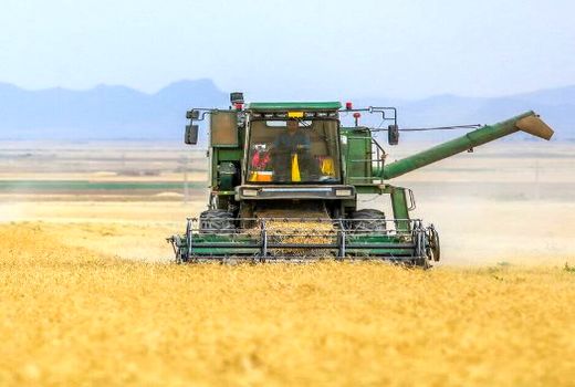 صادرات ۴۲ میلیون دلاری صنعت کشاورزی در اصفهان