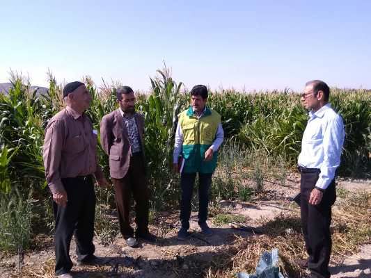 ضرورت استفاده از توان علمی محققین و یافته‌های علمی در کشاورزی