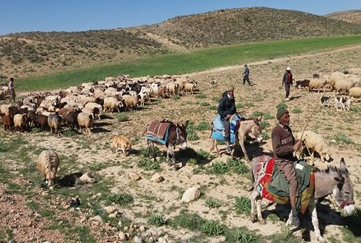 تفاهم  350 میلیاردی با قرارگاه محرومیت زدایی سپاه برای کاهش اثرات خشکسالی در مناطق عشایری 