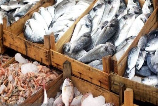 ۱۵ هزار تن آبزیان از بوشهر با نظارت بهداشتی-قرنطینه‌ای صادر شد
