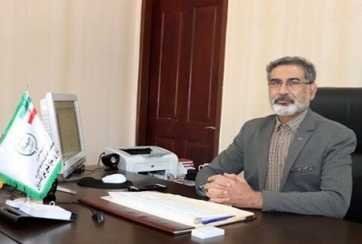 معرفی بذور پر محصول گندم آبی و دیم دستاورد مهم دولت سیزدهم