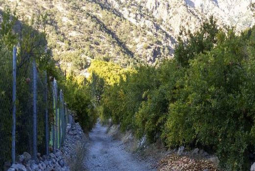 ۱۰ هزار هکتار از باغ‌های استان اصفهان در معرض تنش آبی قرار دارد