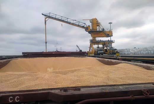 تفاوت کیفیت غلات در انبار و بندر؛ تأکید بر نقش حمل‌ونقل، رطوبت و نمونه‌برداری