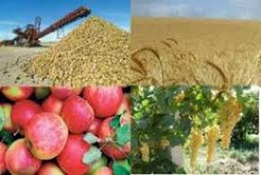 کسب رتبه هفتم استان قزوین در طرح آمارگیری هزینه تولید محصولات زراعی