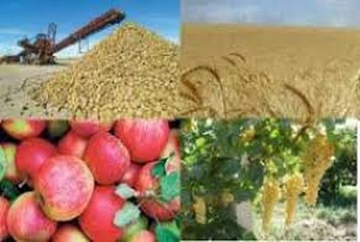 کسب رتبه هفتم استان قزوین در طرح آمارگیری هزینه تولید محصولات زراعی