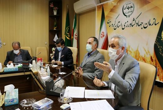 هیچ مشکلی در تامین گوشت مرغ مورد نیاز کردستان نداریم