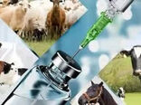 صادرات ۱۱ تنی فرآورده‌های دارویی دامپزشکی قزوین