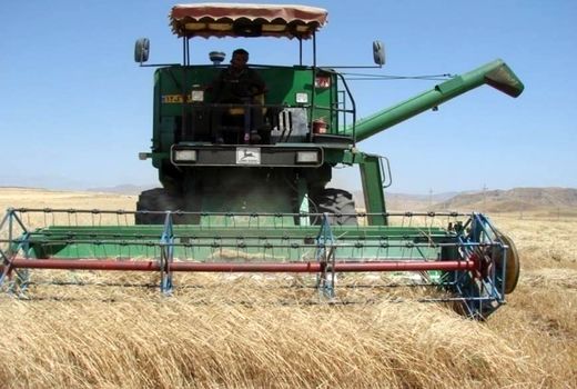 برداشت 34 هزار تن گندم در شهرستان اهر