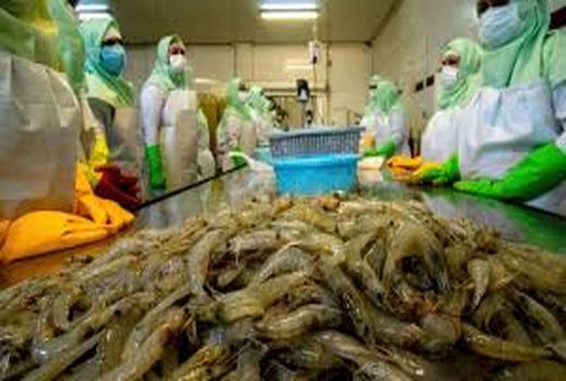 آبزیان تولید بوشهر به ۱۸ کشور صادر شد