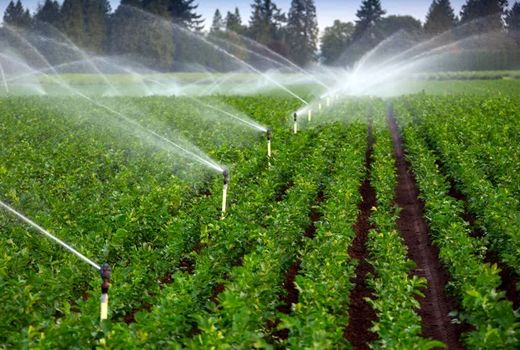 تجهیز ۷۰ هزار هکتار از اراضی کشاورزی چهارمحال و بختیاری به سیستم آبیاری نوین 