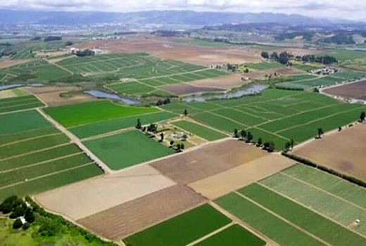 تدوین سند الگوی کشت برای ۲۳ محصول زراعی در استان