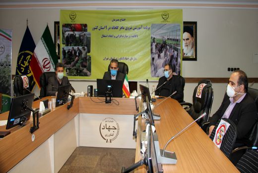 تولید سالانه ۸۰۰هزارتن محصولات مرغوب گلخانه ای در استان تهران