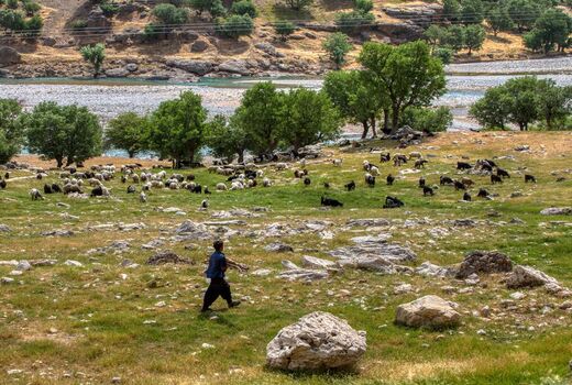 عشایر استان تهران در مناطق کوهستانی و حاشیه رودخانه‌ها اتراق نکنند            