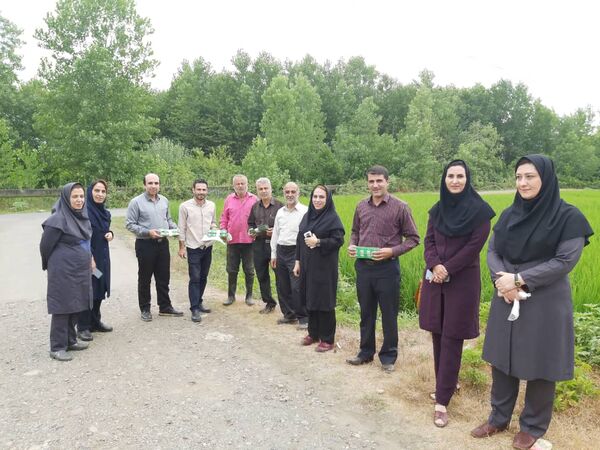 رزمایش مبارزه بیولوژیک زراعت برنج در راستای پدافند غیر عامل
