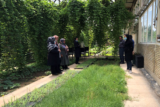بازدید زنان روستایی شهرستان بناب از سایت گیاهان دارویی گلخانه فدک