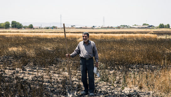 مزرعه سوخته