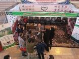 بابرپایی نمایشگاه های ادوات کشاورزی شاهد افزایش راندمان کشاورزی خواهیم شد