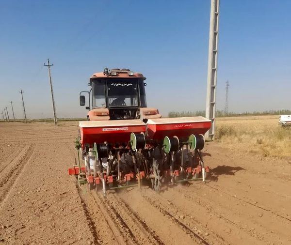 اجرای طرح پایلوت کشت کلزا با استفاده از قارچ تریکودرما در استان قزوین