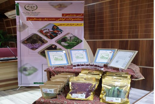 اجرا ی طرح تولید محصول سالم در خراسان جنوبی برای سومین سال متوالی