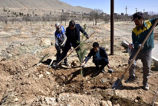 کاشت ۲۵۰ اصله نهال در دانشگاه شهرکرد