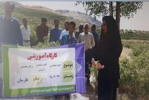 برگزاری 10 دوره مهارتی ،آموزش کشاورزی در شهرستان فارسان