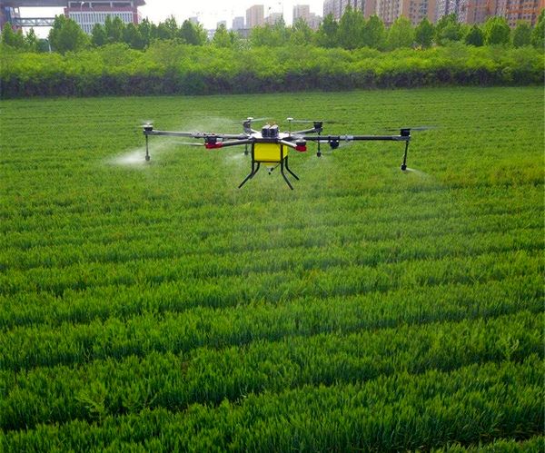 14000 هکتار از  مزارع غلات استان البرز علیه عوامل خسارتزای آفات و علف های هرز سمپاشی شد