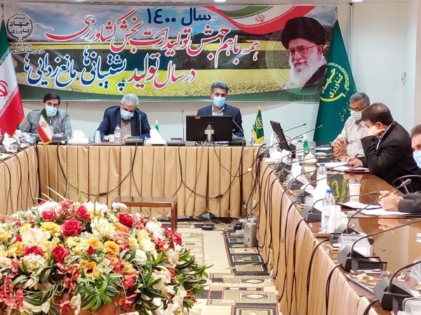 جهش تولید در دیمزارها باهدف معیشت کشاورزان