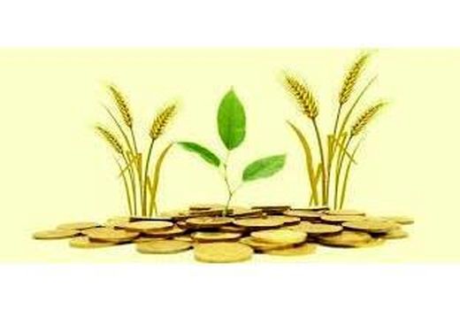 720 میلیارد تسهیلات رونق تولید در آمل پرداخت شد/ رشد 300 درصدی تسهیلات