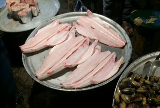 کشف و معدوم سازی بیش از ۲۰۰ کیلوگرم انواع آبزیان حرام گوشت در اهواز