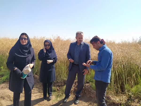 ثبت ۱۴ هزار و ۷۰۰ هکتار کشاورزی قراردادی در شهرستان تبریز
