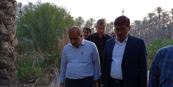 صنایع تبدیلی و تکمیلی خرما در استان بوشهر توسعه یابد