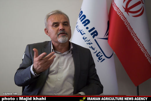 نمی‌توان از حجتی انتظار معجزه داشت