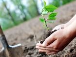 آذربایجان‌شرقی دومین استان در اجرای طرح ملی کاشت یک ‌میلیارد نهال