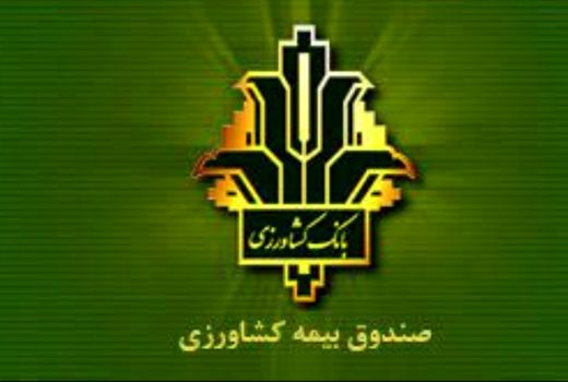 رتبه اول کشوری صندوق بیمه محصولات کشاورزی استان چهارمحال و بختیاری در توسعه ضریب نفوذ بیمه 