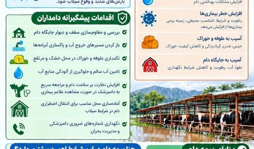 ال نینو و اقدامات پیشگیرانه در حوزه دام و اهمیت بیمه دام